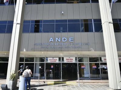 Titular de ANDE dice que a su institución le urge el dinero de fondos sociales - Nacionales - ABC Color