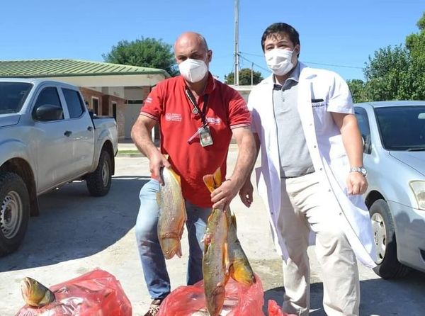 Ministerio del Ambiente dona pescados decomisados a Hospital Regional de Pilar - Nacionales - ABC Color