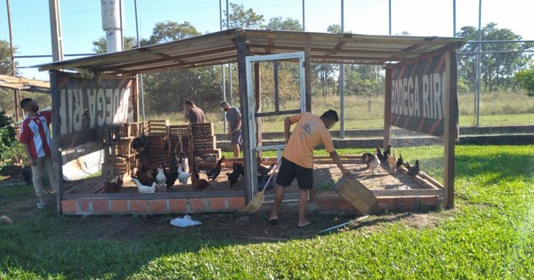 La Nación / Mediante cría de animales y huertas rehabilitan a jóvenes privados de libertad