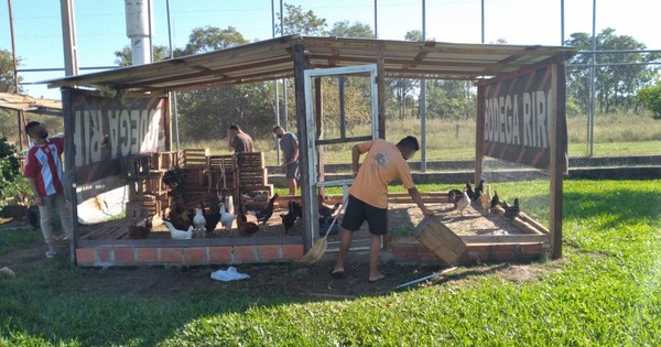 La Nación / Mediante cría de animales y huertas rehabilitan a jóvenes privados de libertad