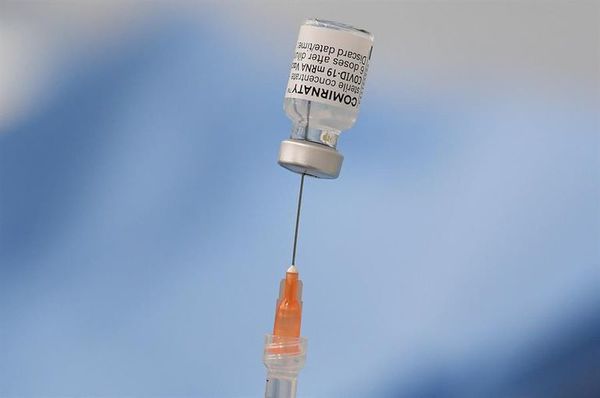La UE empezará a negociar el certificado covid y pone su esperanza en Pfizer - Mundo - ABC Color