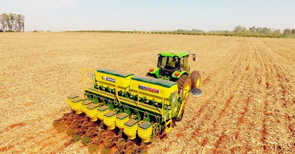 La Nación / Trigo, con importante volumen de exportación pese a la baja producción