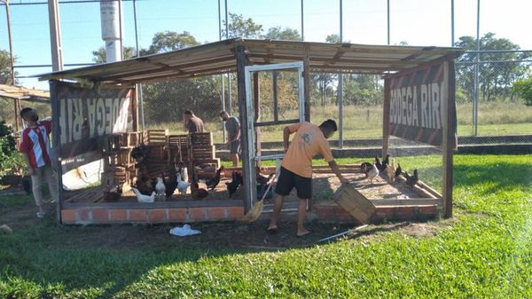 Jóvenes infractores reciben capacitación para lograr la reinserción  - Nacionales - ABC Color