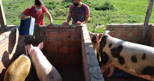 Implementan proyectos productivos para jóvenes infractores