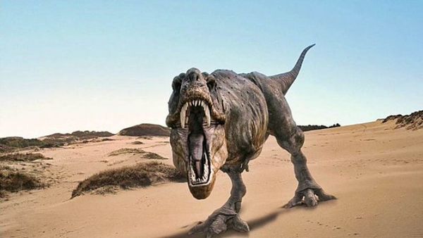Nuevo estudio descubre que el Tiranosaurio rex era sorprendentemente lento
