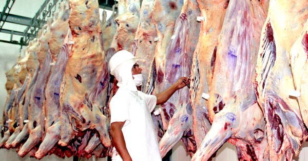 La Nación / Aumento en la demanda de carne bovina motiva la suba de precio