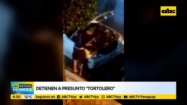 Detienen a presunto tortolero gracias a circuito cerrado - ABC Noticias - ABC Color
