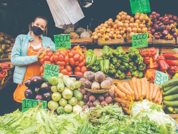 Mercado 4:  trabajadoras no pueden pagar ni su luz