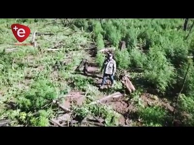 INTENSIFICAN OPERATIVOS CONTRA EL NARCOTRÁFICO EN ITAPÚA