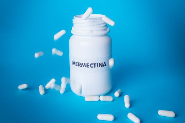 La ivermectina es un antiparasitario, no un antiviral, insisten - Nacionales - ABC Color