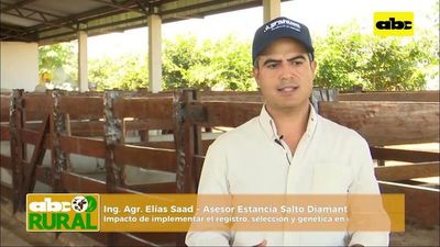 ABC Rural: Impacto de implementar el registro, selección y genética en ganadería - ABC Rural - ABC Color