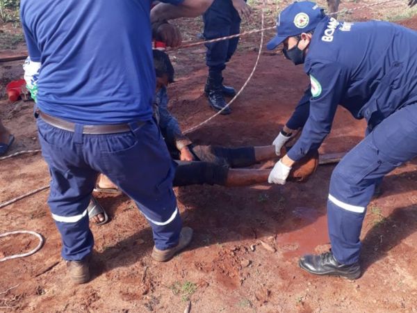 Cayó ka'úre al pozo de su casa y fue rescatado