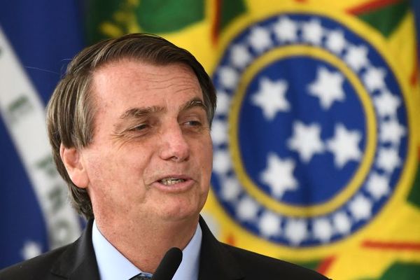 Senado brasileño abre investigación de posibles omisiones de Bolsonaro con covid - Mundo - ABC Color