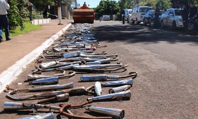 Destruyen más de 200 roncadores