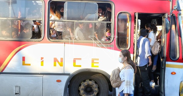 La Nación / Viceministro reconoce que imponen multas, pero transportistas no pagan