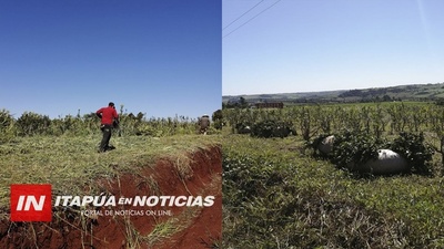 INVASORES COSECHAN YERBA EN PROPIEDAD PRIVADA Y DESACATAN ORDEN JUDICIAL, DENUNCIAN QUE FISCAL BLANCA SAUCEDO NO SE CONSTITUYE.