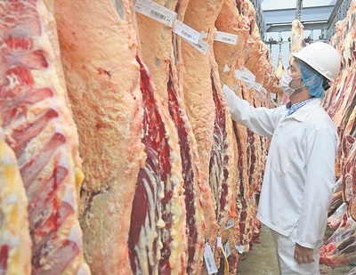 China habilitó más frigoríficos estadounidenses para carne bovina, cerdo y ave