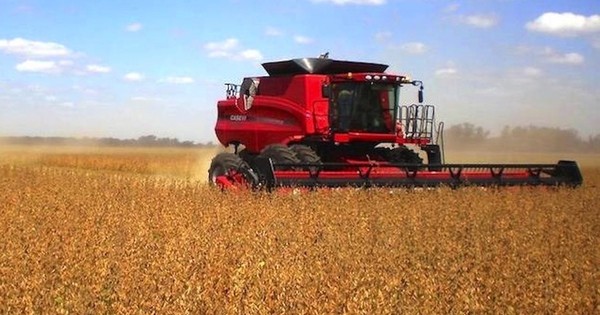 La Nación / UGP estima producir 10 millones de Tn. de grano