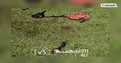DENUNCIAN SUPUESTO HECHO DE ABIGEATO EN CAP. MIRANDA