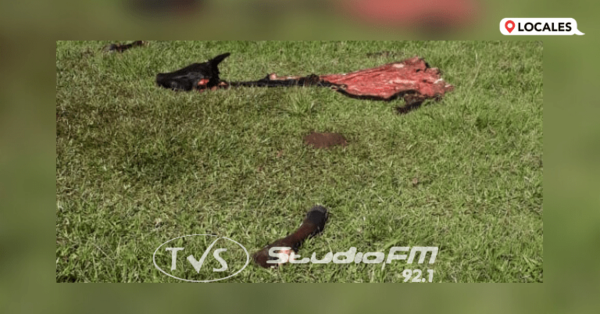 DENUNCIAN SUPUESTO HECHO DE ABIGEATO EN CAP. MIRANDA