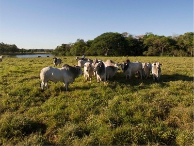 Regional Rural, la herramienta de pagos digitales para productores y comercios
