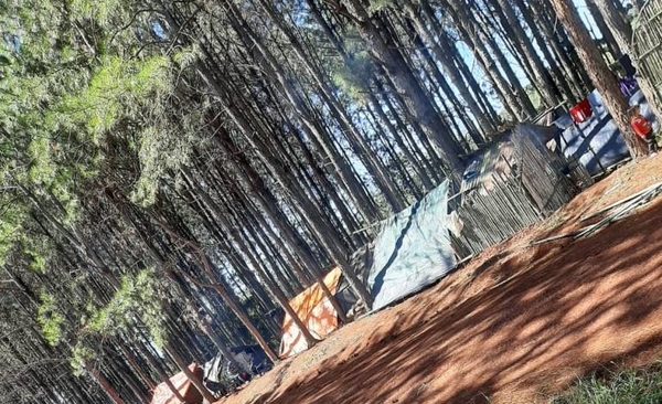 Diario HOY | Por sexta, vez invaden inmueble en Naranjito alegando ser campesinos sin tierras