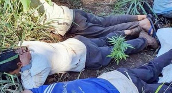 Detienen a cuatreros en Colonia Estrella