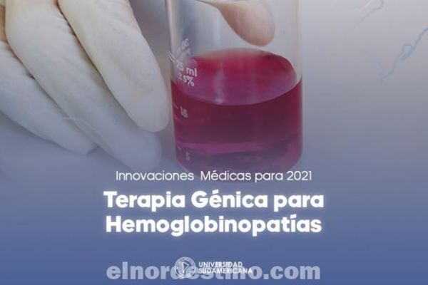 Hemoglobina: imprescindible proteína roja responsable de transportar oxígeno a la sangre según Universidad Sudamericana