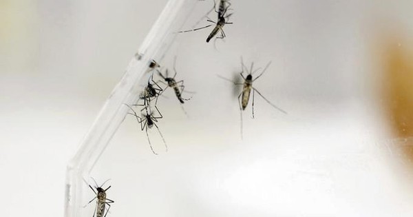 La Nación / Crearán una red de instituciones científicas para la investigación epidemiológica en Sudamérica