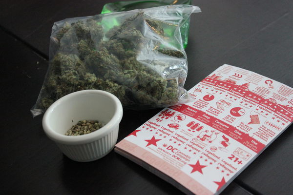 Argentina abre un registro de semillas de cannabis para cultivo con fin médico - MarketData