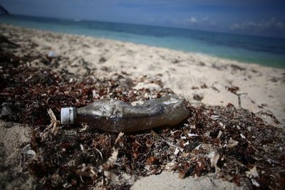 Descubren la manera de usar bacterias para eliminar microplásticos | Ñanduti