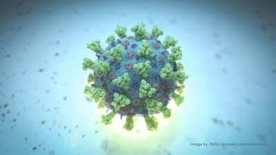  | ¿Cuáles son las 10 medidas más efectivas para protegerse del COVID-19?