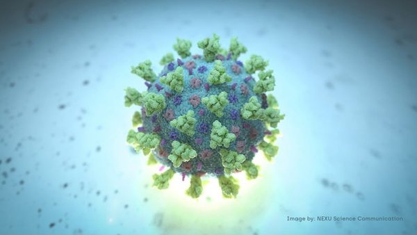 | ¿Cuáles son las 10 medidas más efectivas para protegerse del COVID-19?