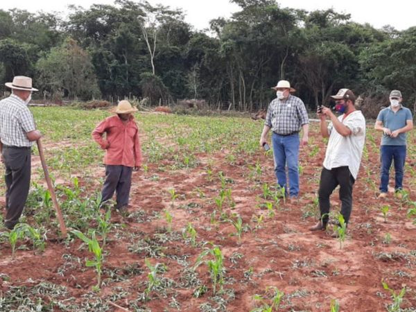 Agricultura familiar se queda sin financiamiento de Itaipú