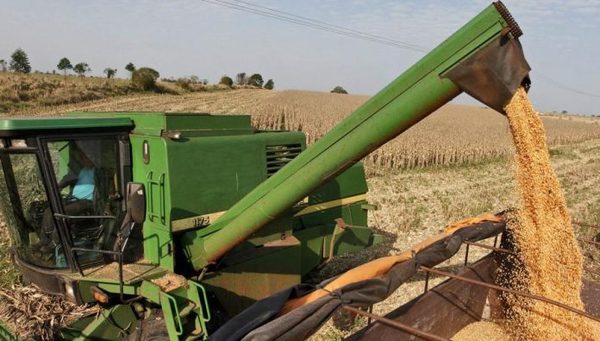 UGP estima cerrar año productivo con 10 millones de toneladas de granos producidos