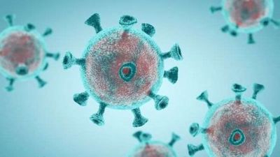 Científicos descubren una forma de neutralizar el Covid-19 en menos de un segundo