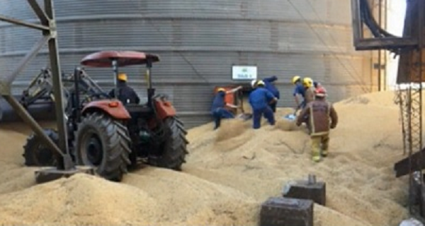 Hombre muere aplastado por granos de soja en un silo - Noticiero Paraguay