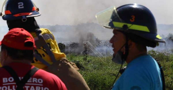 La Nación / Bomberos intentan sofocar incendio en humedal de la Costanera de Asunción