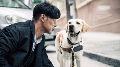Drama de Hong Kong es único estreno en cines con horario reducido - Cine y TV - ABC Color
