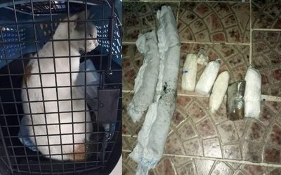 Crónica / El “NarcoMichi” que metía droga a la cárcel