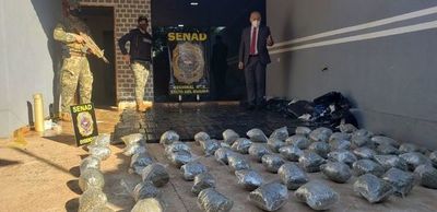 Senad decomisa marihuana prensada y envasada al vacío en Salto del Guairá - Nacionales - ABC Color