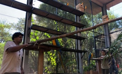 Conservación del gua’a kaninde de ITAIPU logra certificación del ALPZA