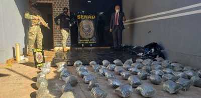 Decomisan más de 300 kilos de marihuana en Salto del Guairá