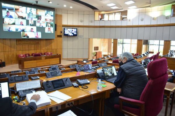 Encomiendan a la Contraloría auditar los fondos de las binacionales