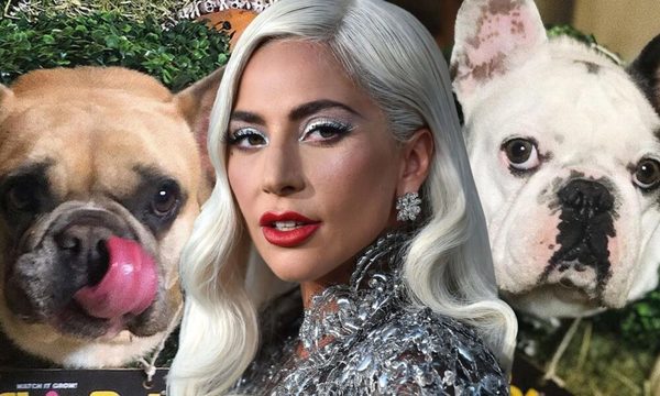 Arrestan a los secuestradores de los perros de Lady Gaga