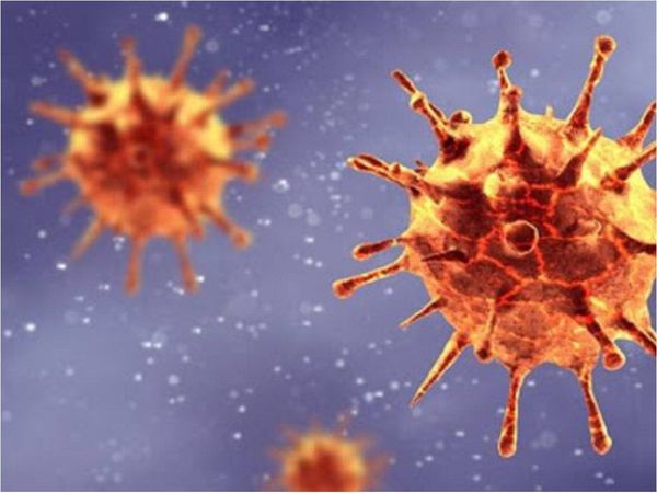 Científicos logran neutralizar SARS-COV-2 en menos de un segundo