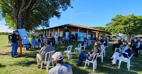 La Nación / Inician cultivo experimental de cáñamo industrial en Guairá