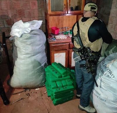 Senad incauta 195 kilos de marihuana “del Pato Donald” en Pedro Juan  - Nacionales - ABC Color