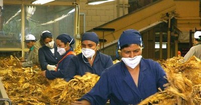 La Nación / Tabacaleros retirarán demanda si Cadep reconoce el error cometido
