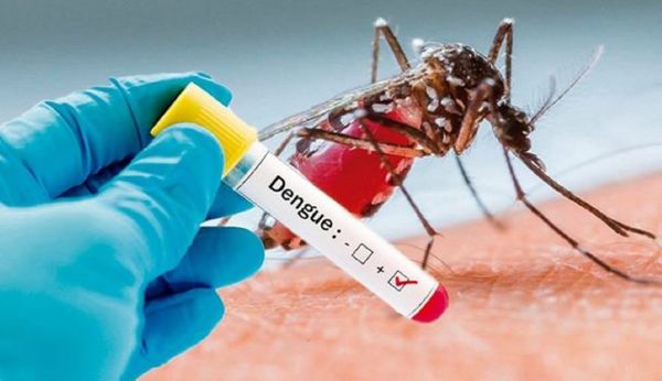 Salud reporta que el mayor porcentaje de casos por dengue proceden del norte del país